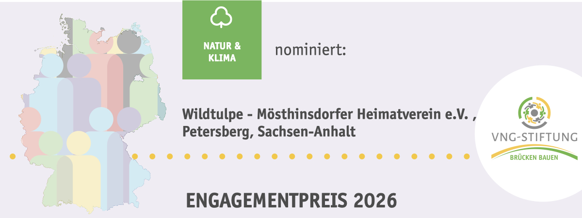 Wildtulpe - Mösthinsdorfer Heimatverein e.V. , Petersberg, Sachsen-Anhalt